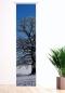 Preview: , Schiebevorhang, Schiebegardine, modern, 60 cm breit, 2,65 m hoch, 3 m hoch